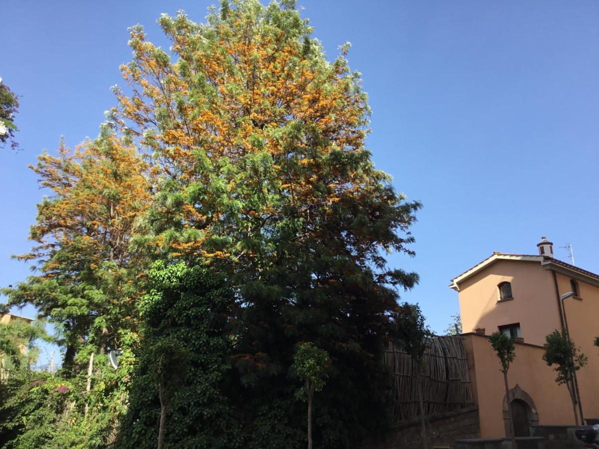 Casa Eleonora * Sorrento