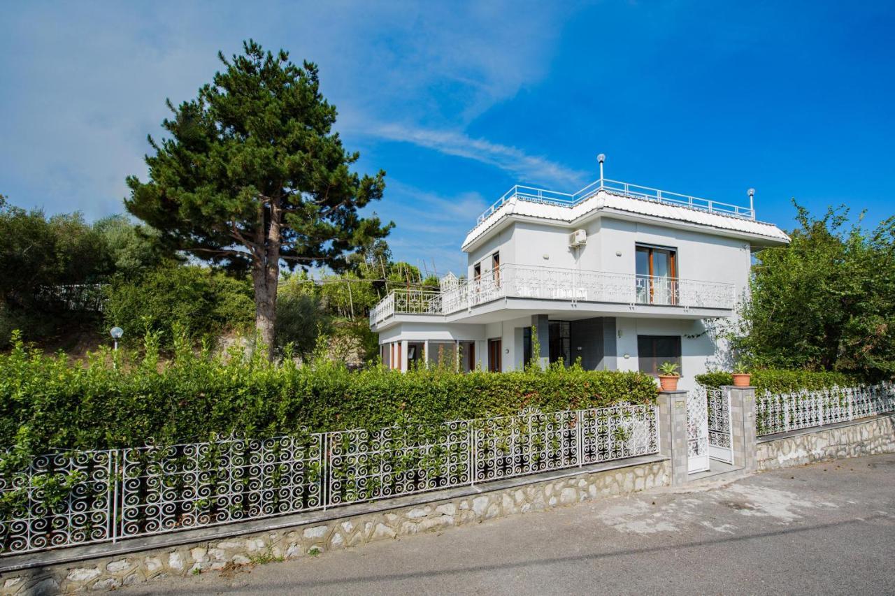Villa Louise