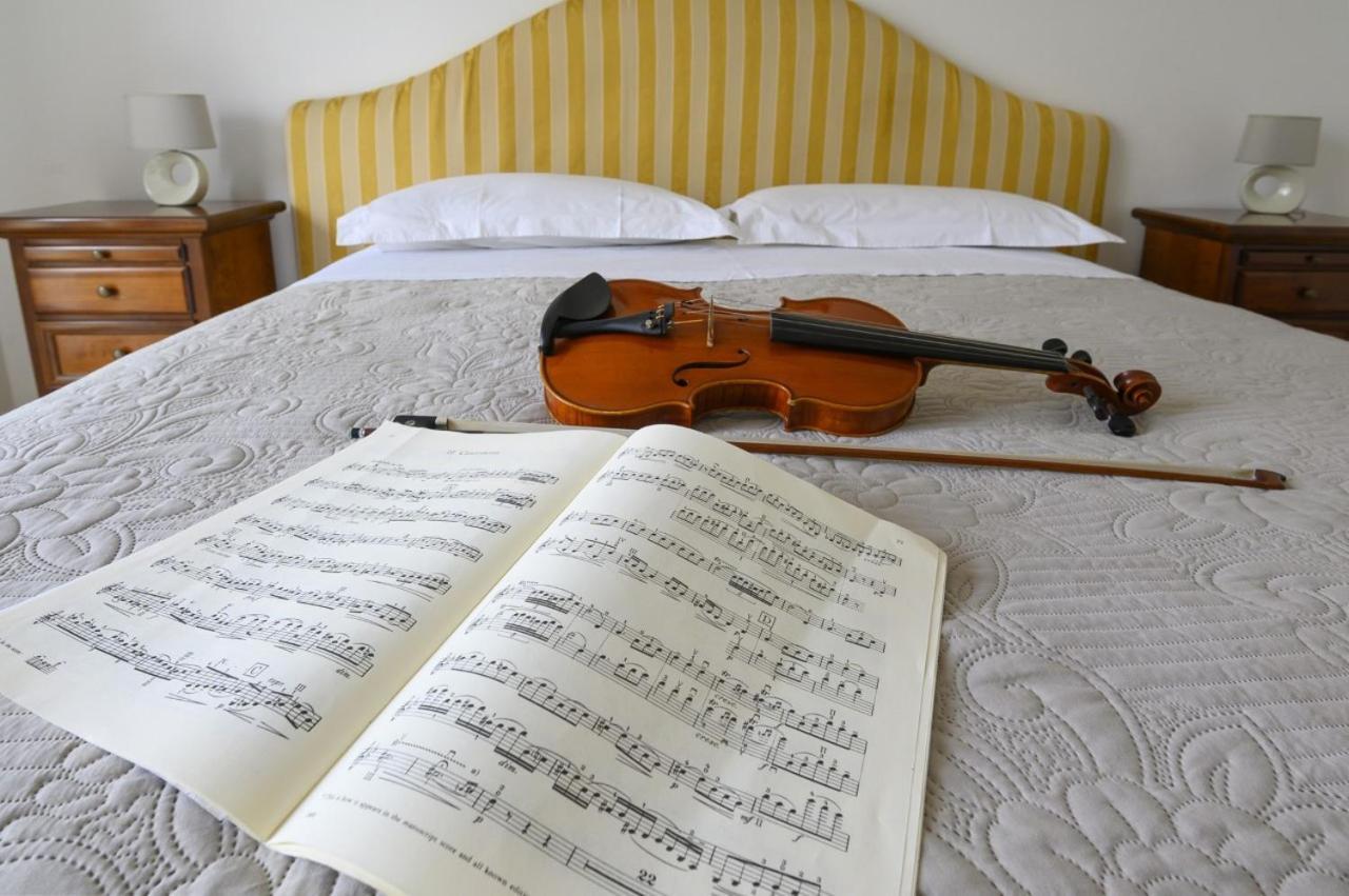 Violinist's House Apartment *