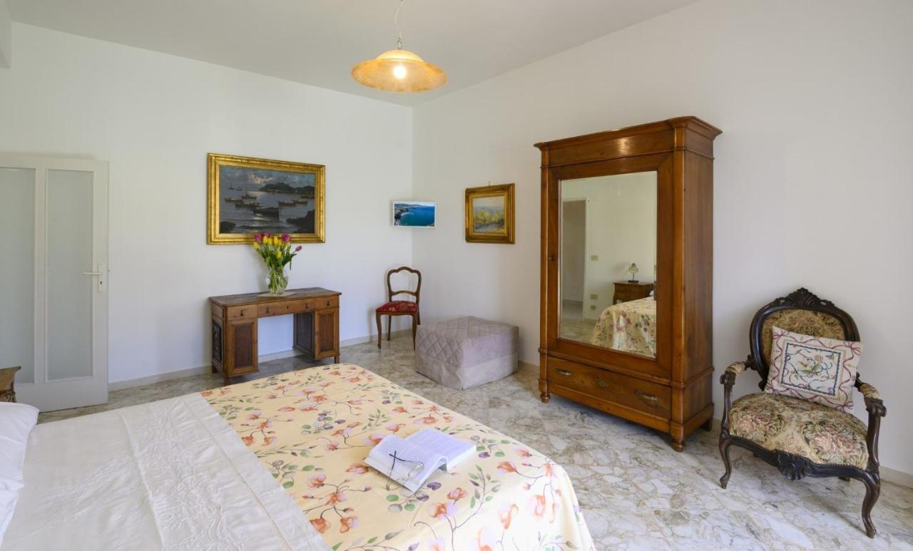 Violinist's House Apartment *