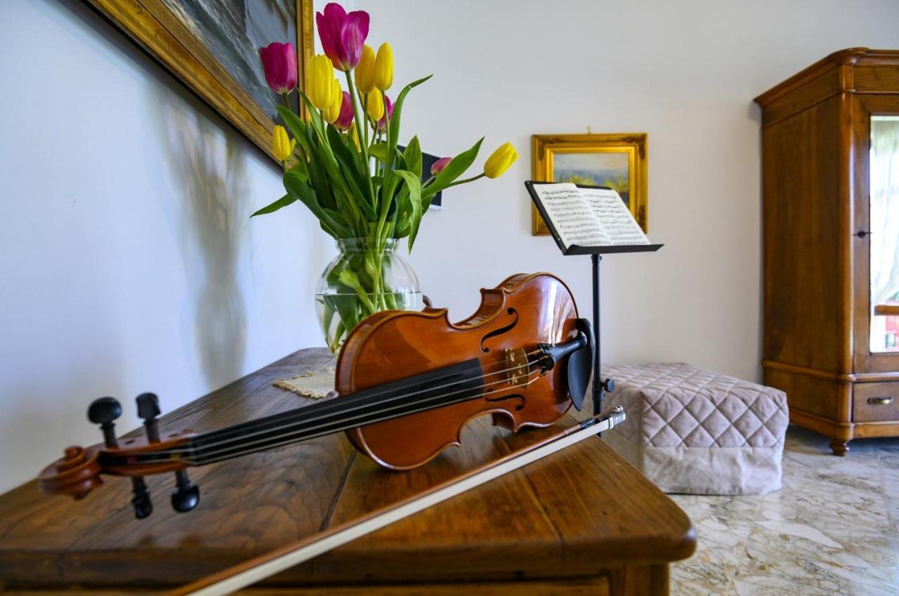Apartment Violinist's House *