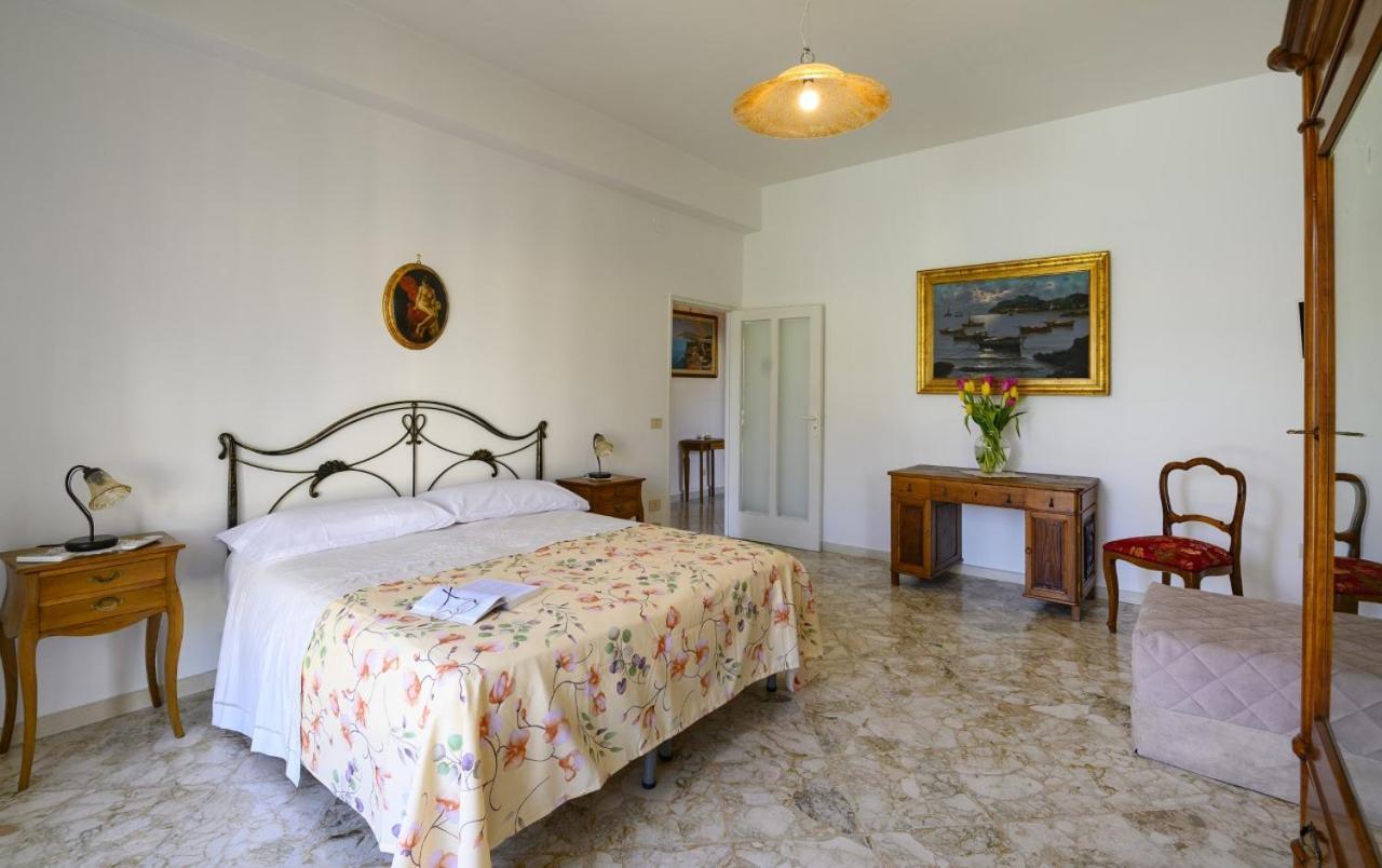Violinist's House Apartment