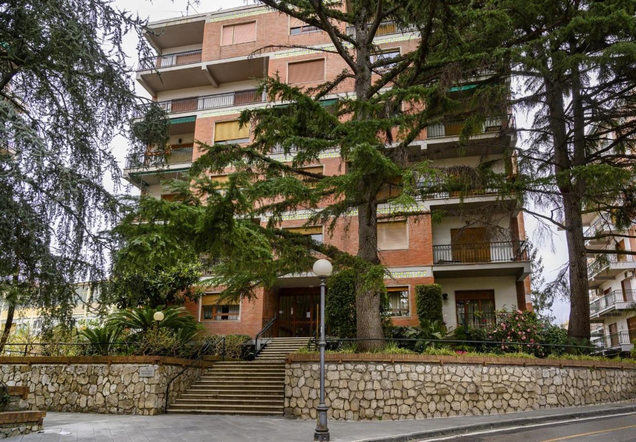 Violinist's House Apartment