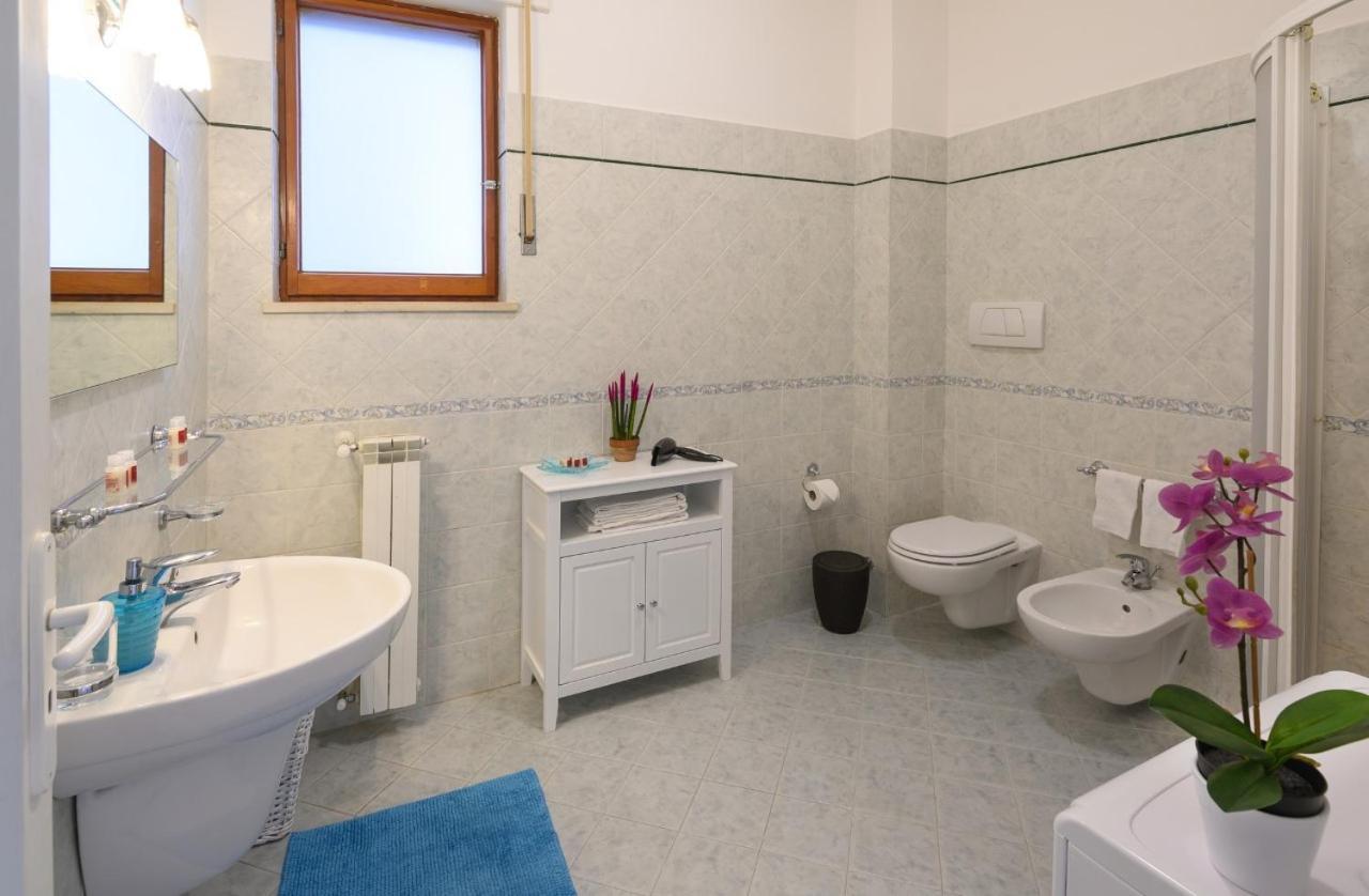 Violinist's House Apartment