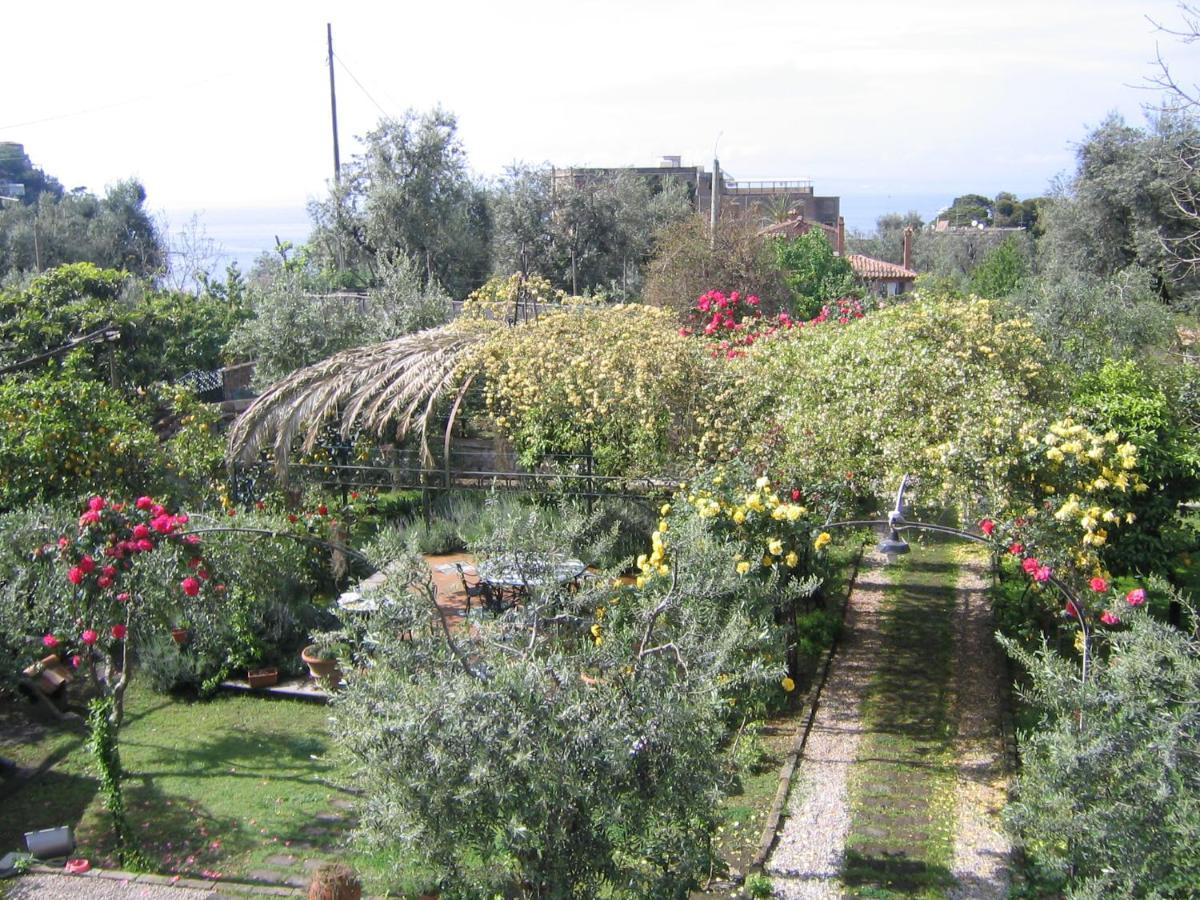 Lidia * Sorrento