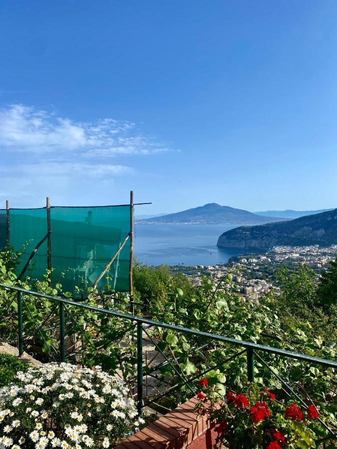 Monica Bed & Breakfast Sorrento