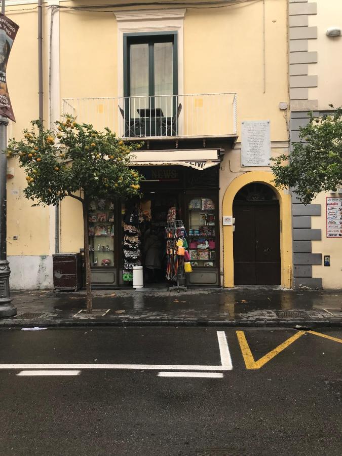 Rosa Magra Sorrento