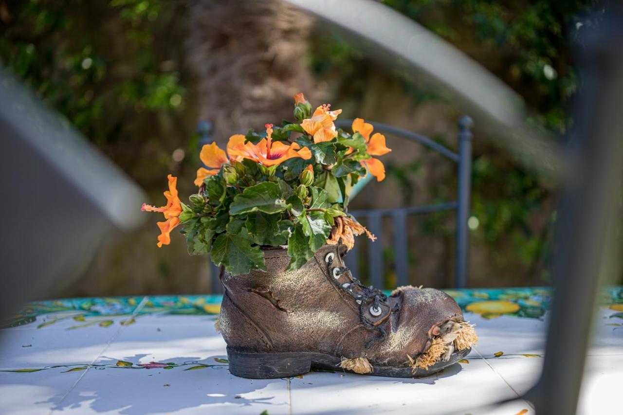 Bed & Breakfast Casa Beatrice Sorrento