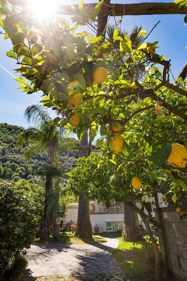 Casa Beatrice Bed & Breakfast Sorrento