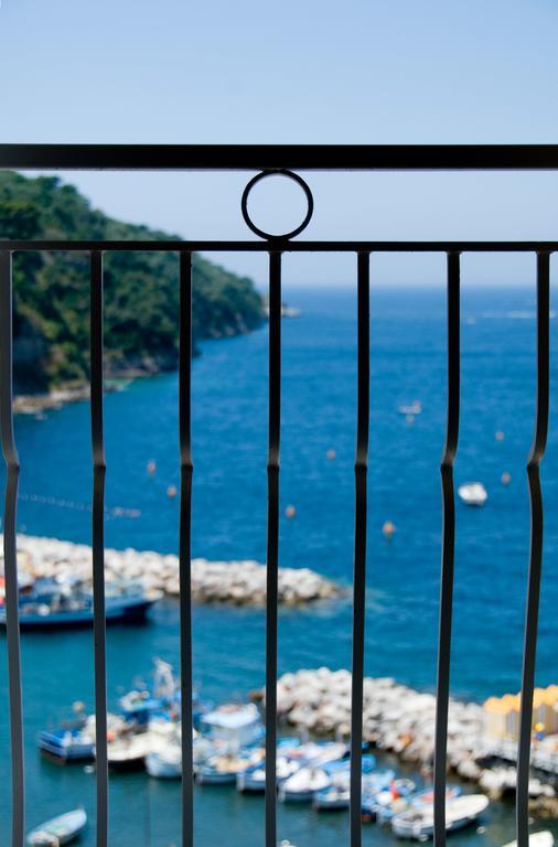 Coltur Sorrento