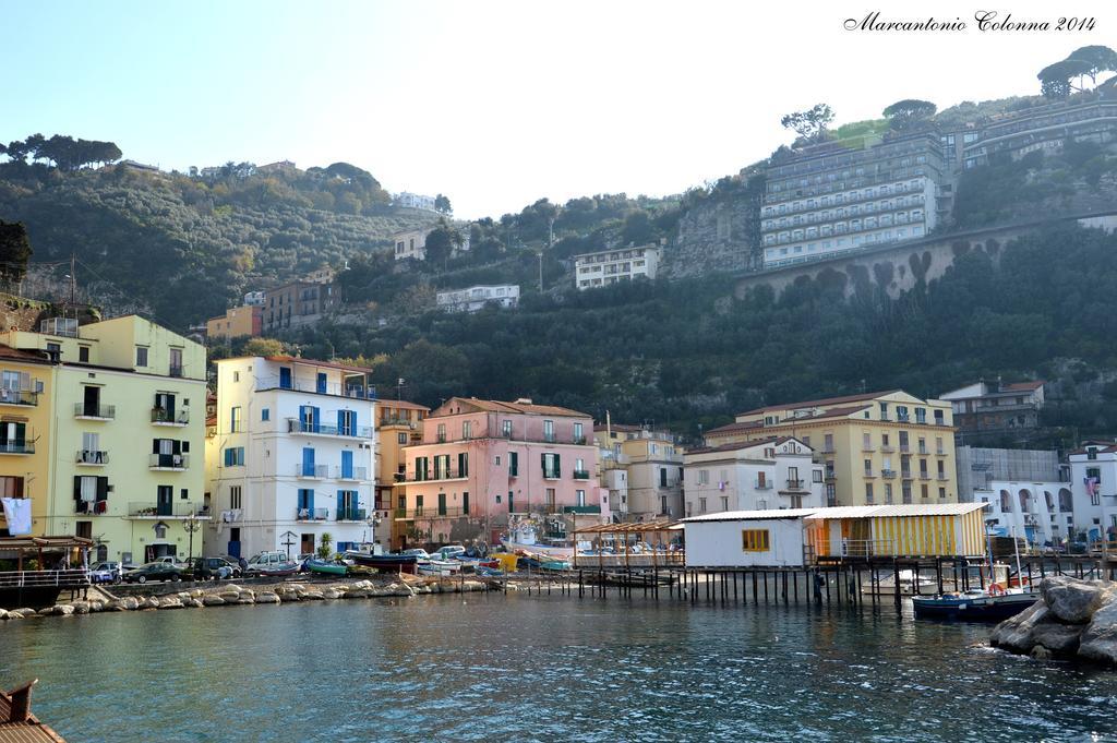 Coltur Sorrento