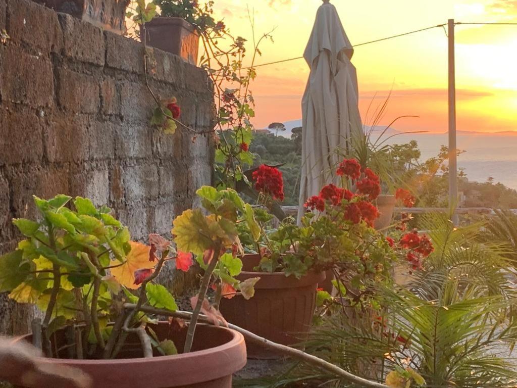 Guest house Giovanna Sorrento