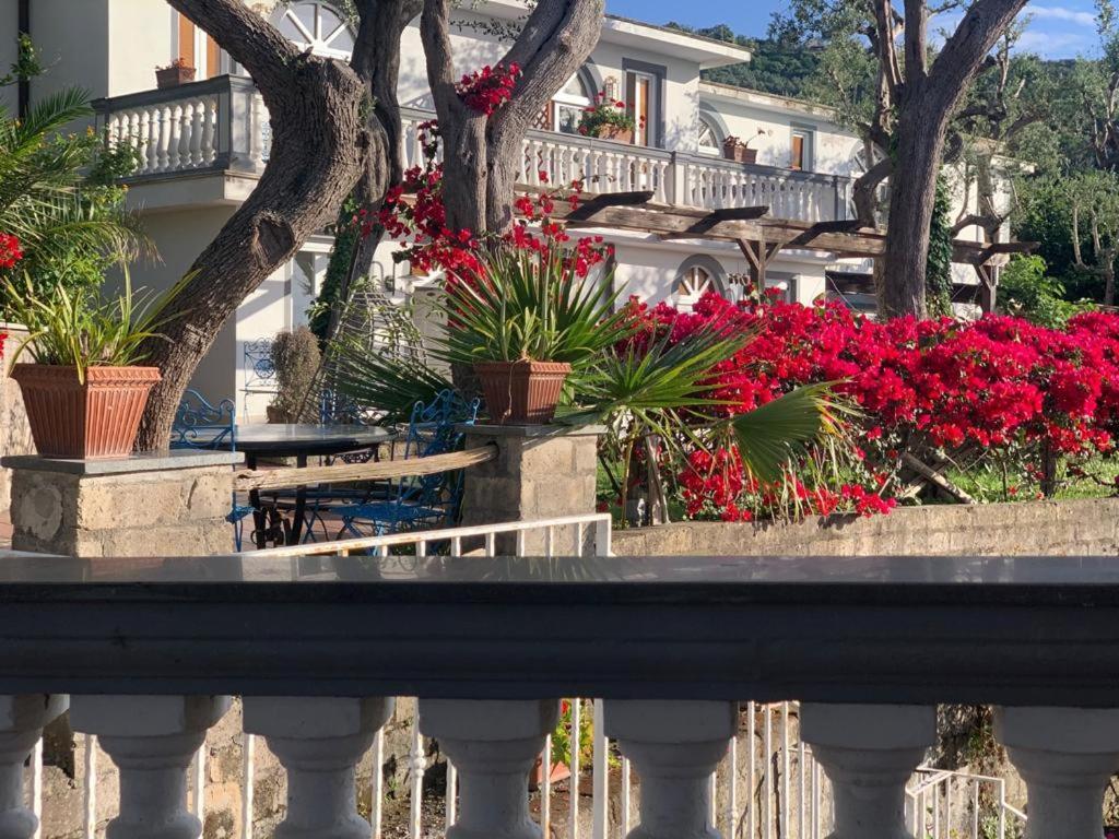 Guest house Giovanna Sorrento