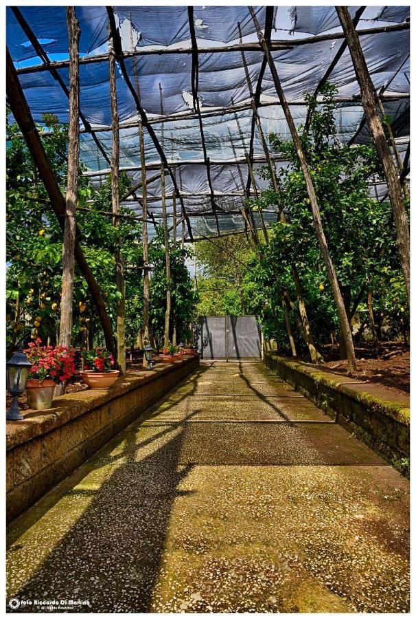 Acomodação com café da manhã  Soso Sorrento