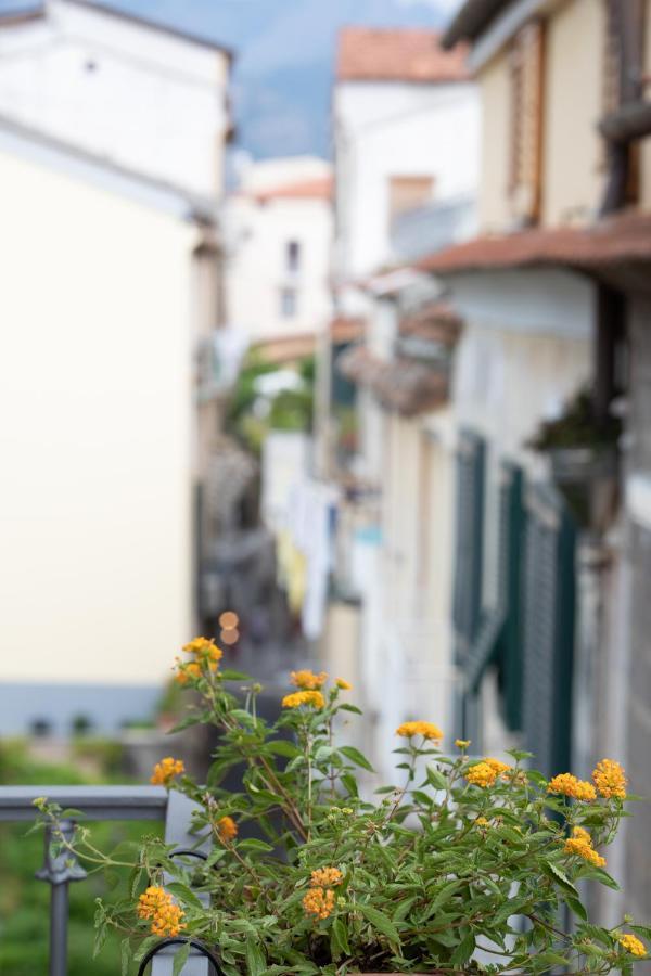 Sami * Sorrento