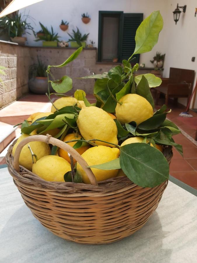 Soso Sorrento