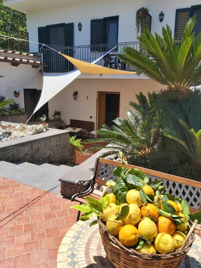 Bed & Breakfast Soso 3*