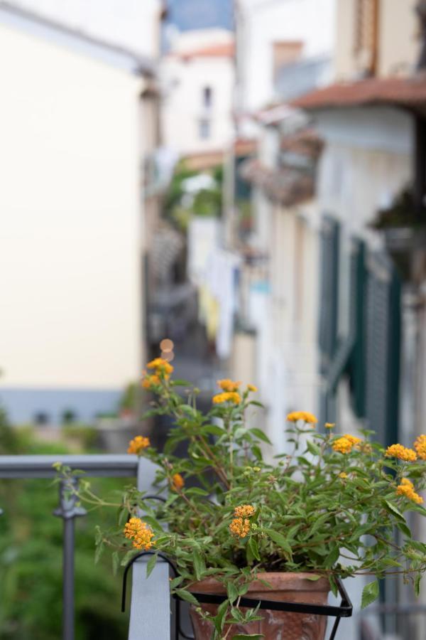 Sami Apartment Sorrento