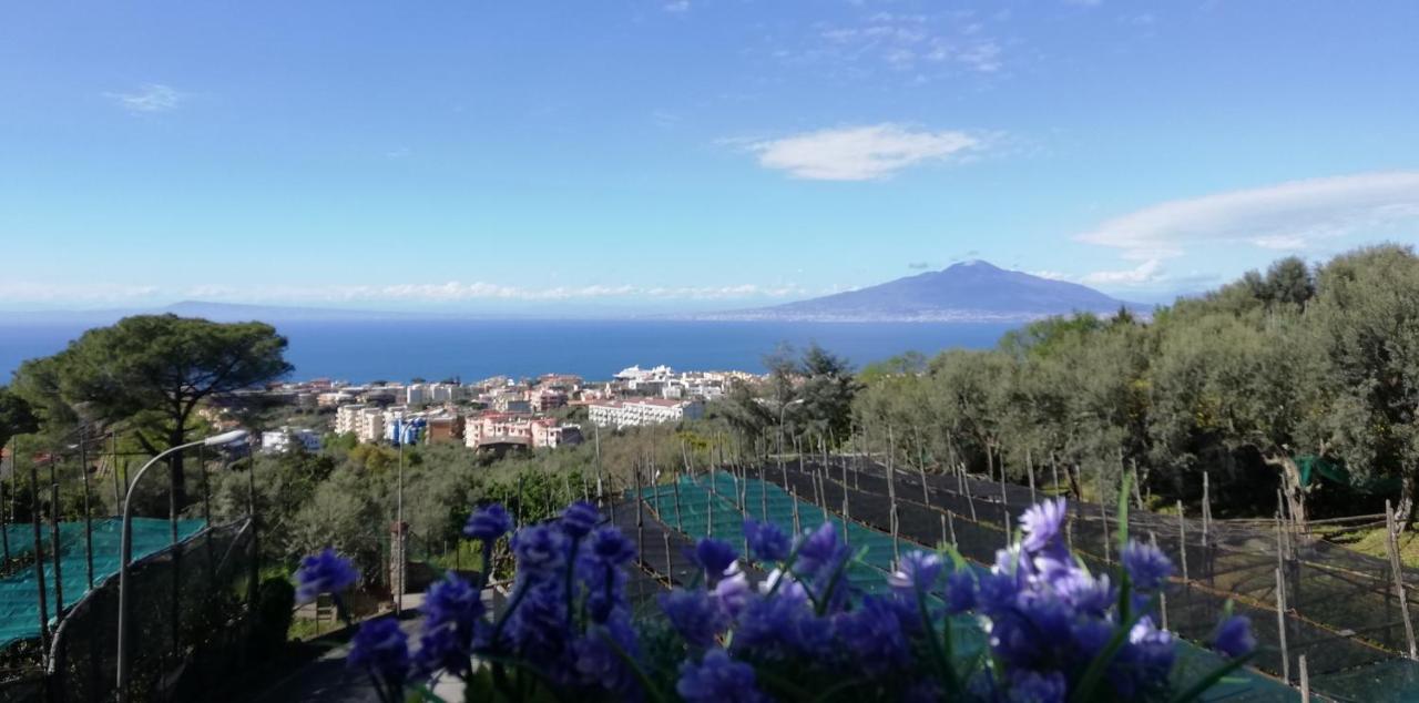 Apartment Dolce Casa Sorrento