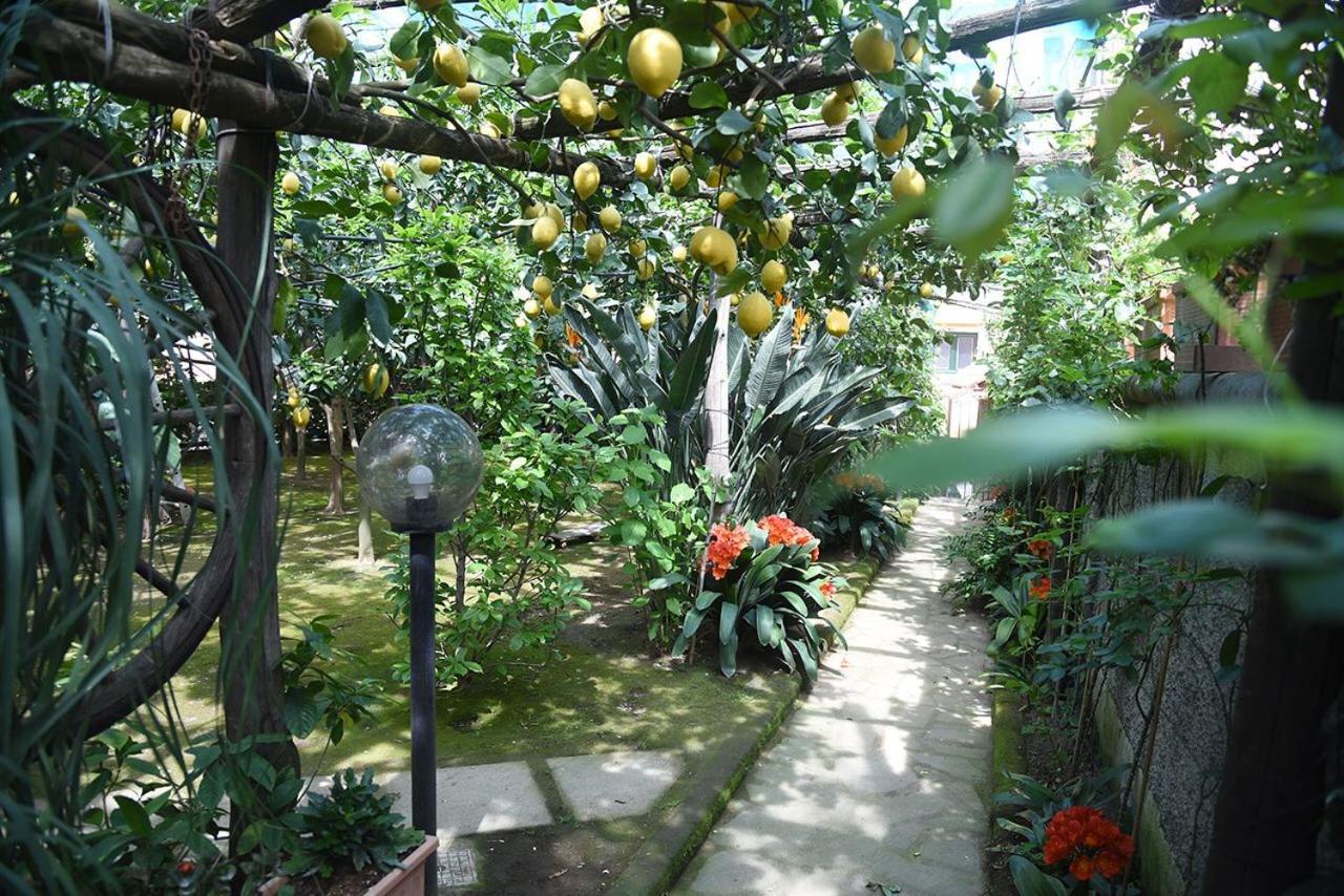 Anthea Bed & Breakfast Sorrento