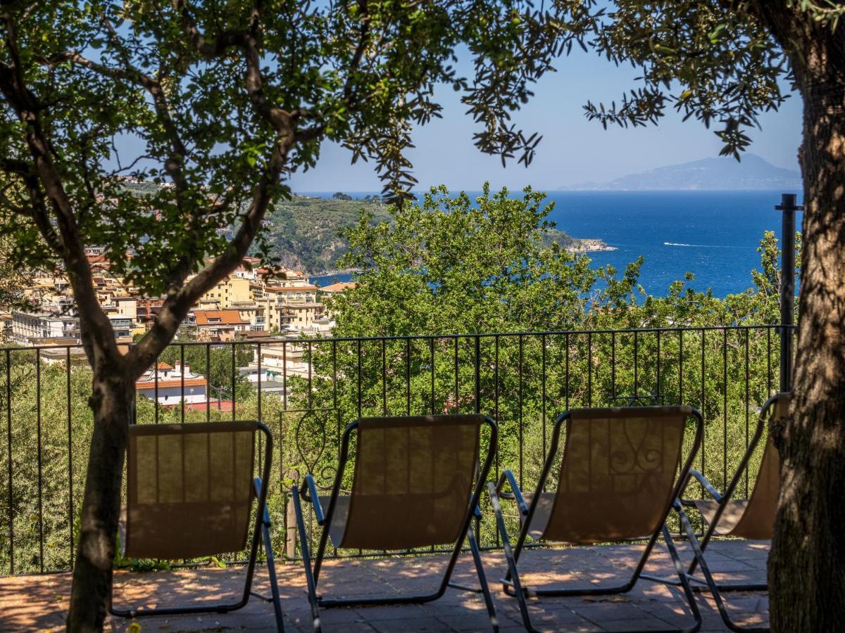 Ulivi Apt Holiday home *