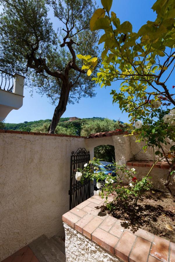 Fratta Suite- The Peace Of Senses Apartment Sorrento