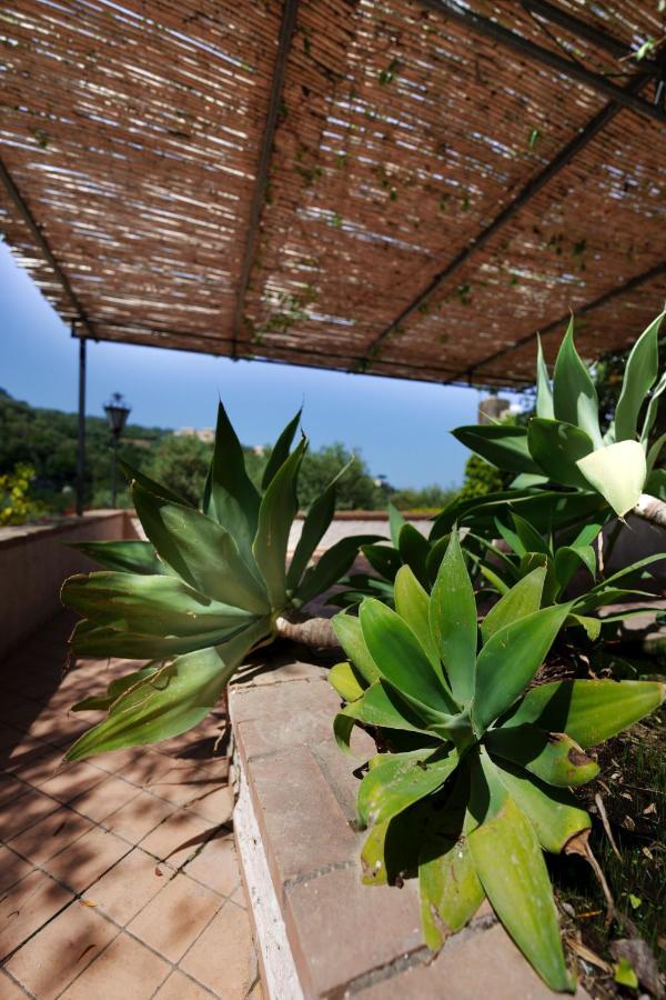 Apartment Fratta Suite- The Peace Of Senses Sorrento