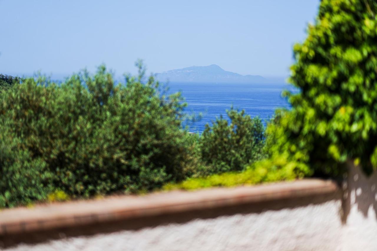 Fratta Suite- The Peace Of Senses Apartment