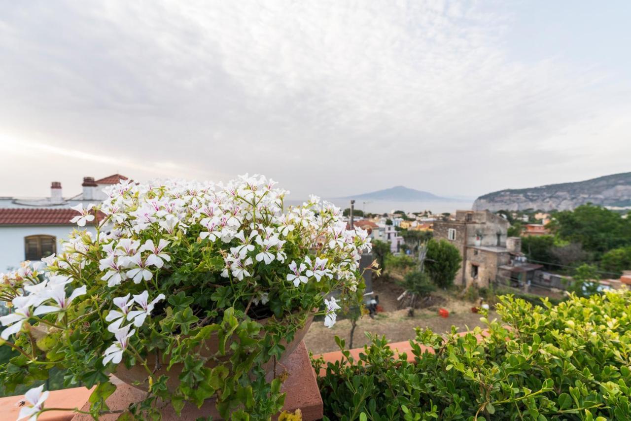 Bed & Breakfast Shanti - Restaurant Di Aversano Salvatore