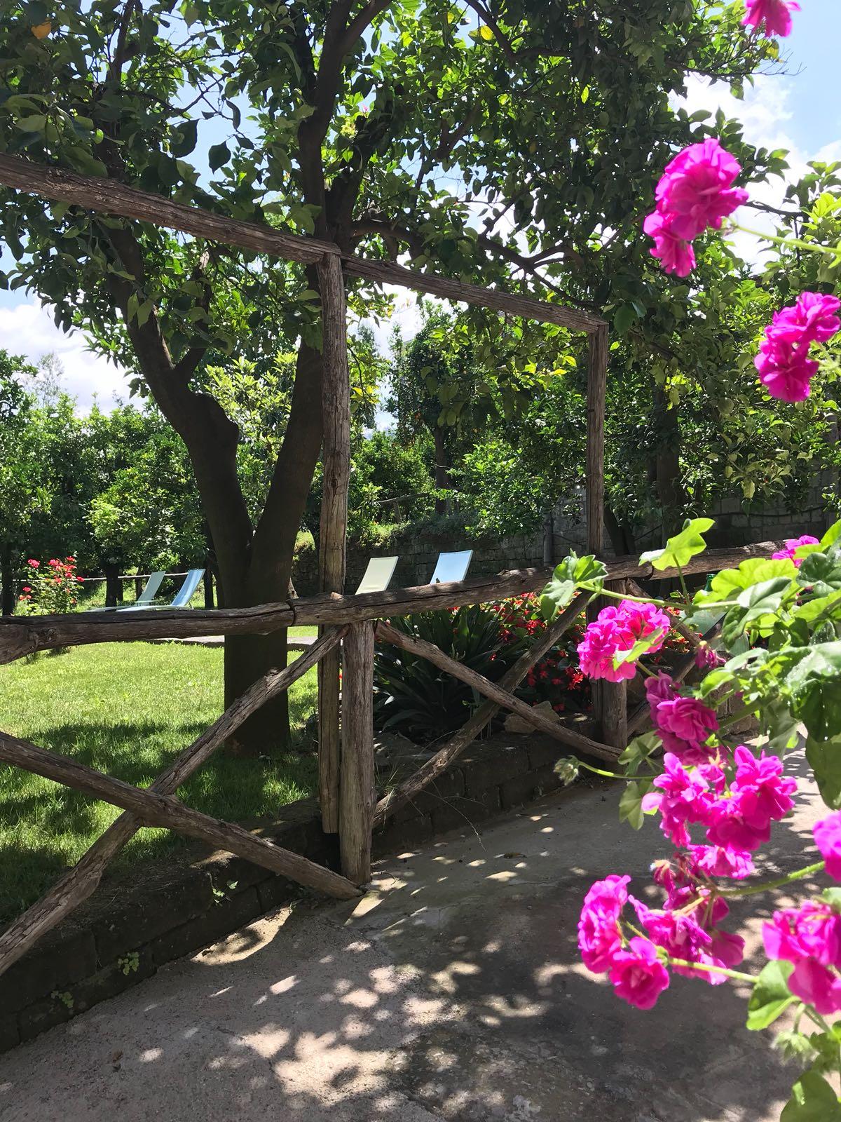 Relais Correale & Garden Acomodação com café da manhã  3*