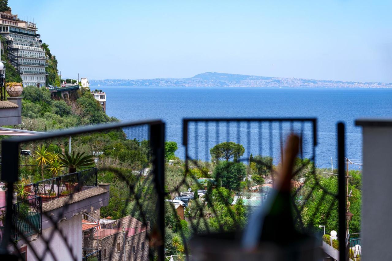 Sofi * Sorrento