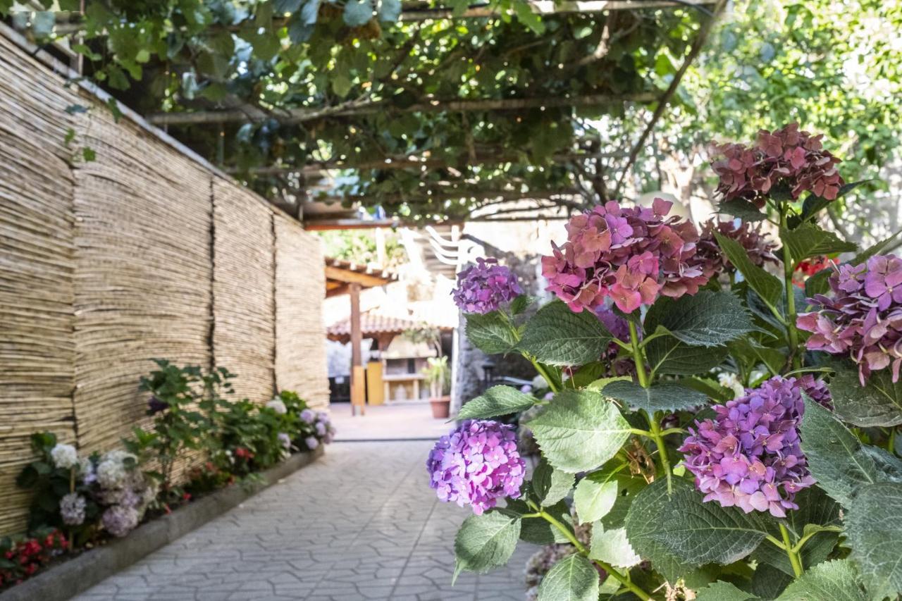 La Natura X6 With Garden And Free Private Parking Villa *