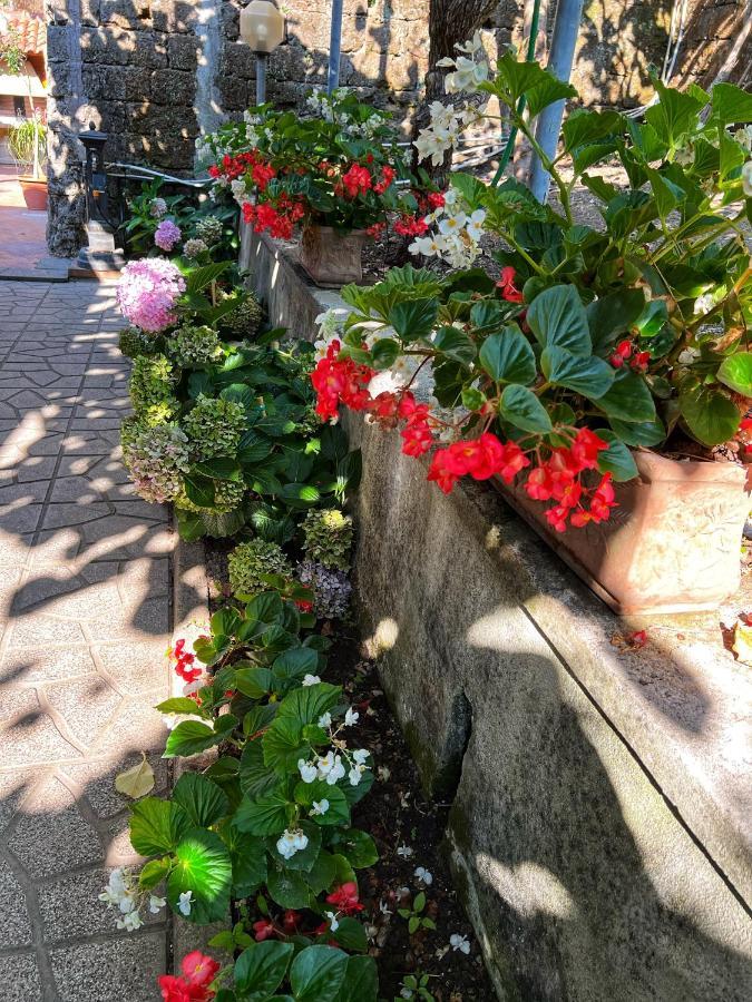 La Natura X6 With Garden And Free Private Parking