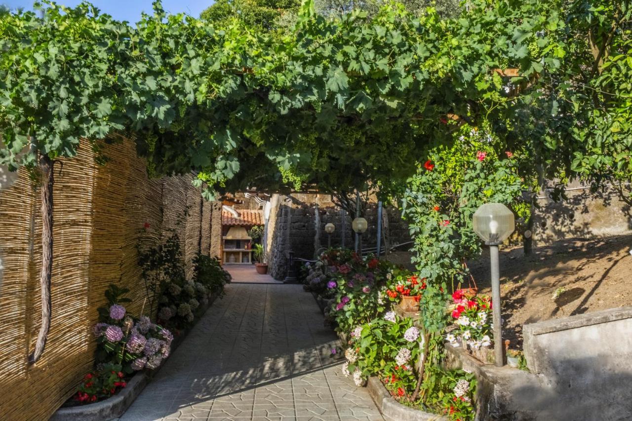 La Natura X6 With Garden And Free Private Parking *