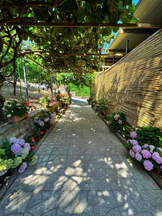 La Natura X6 With Garden And Free Private Parking Sorrento