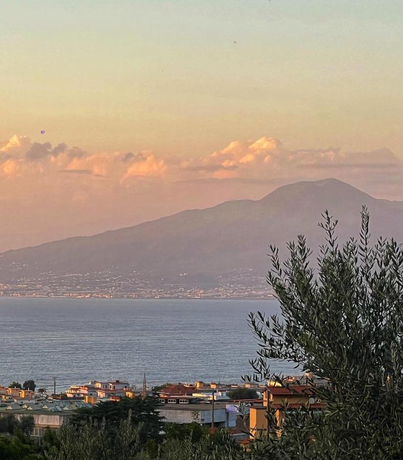 La Natura X6 With Garden And Free Private Parking Villa *