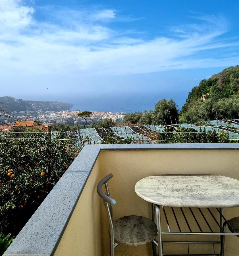 Nanninella Hh * Sorrento