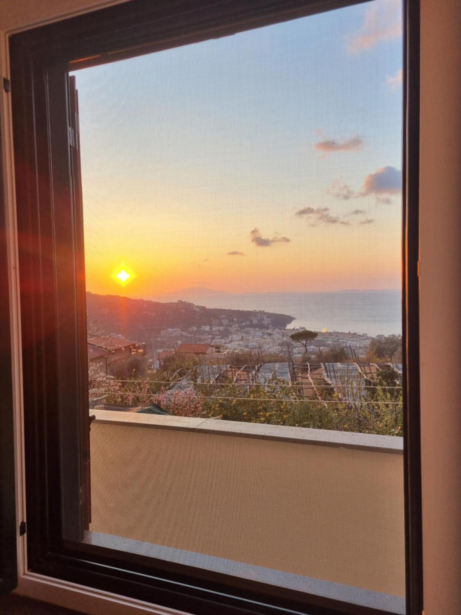 Nanninella Hh Sorrento