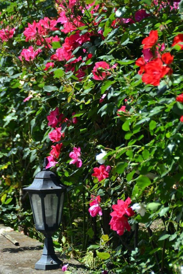 Bed & Breakfast Soso Sorrento