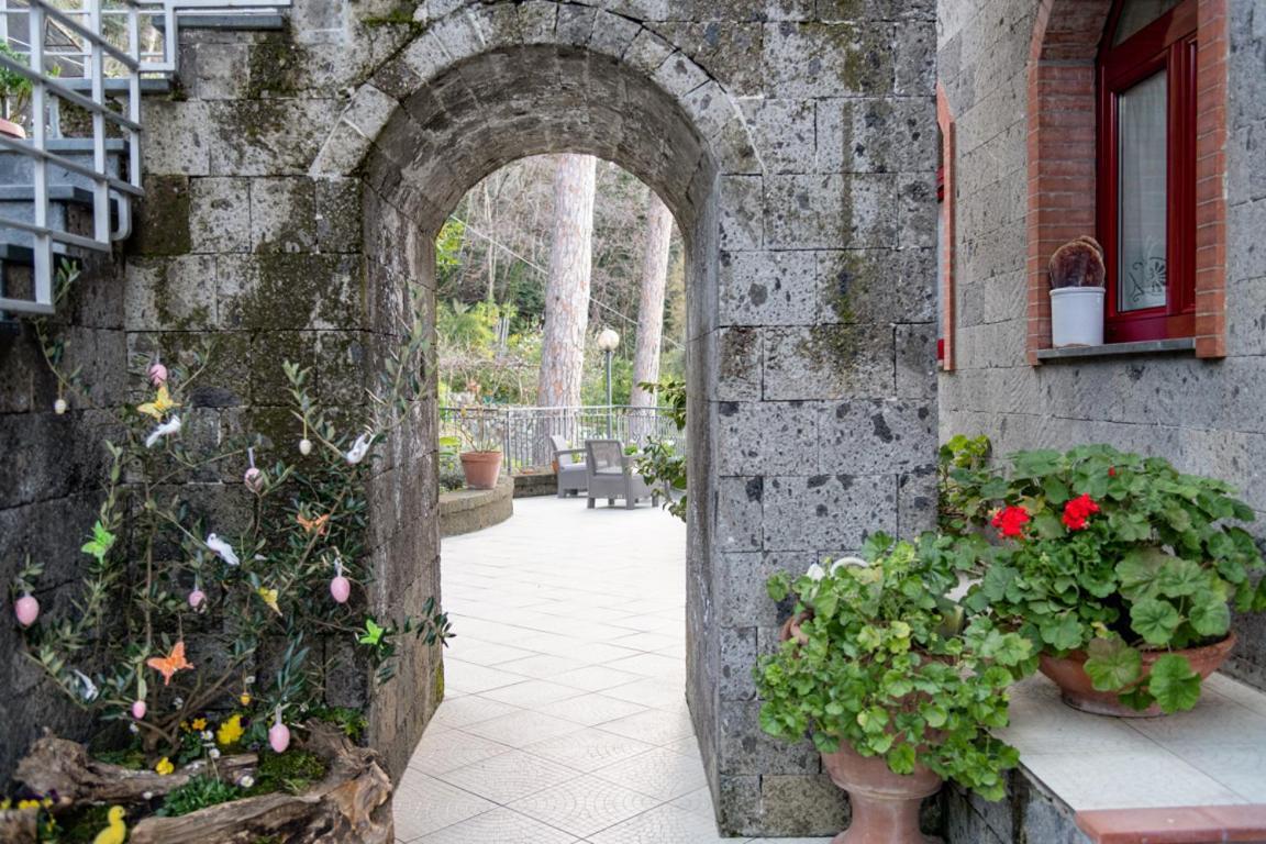Sorrentovibes - Sea View Rooftop With Jacuzzi & Garden Sorrento