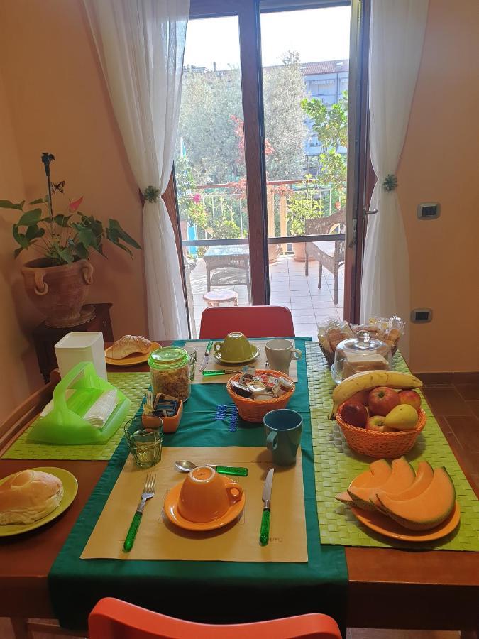 Bed & Breakfast Garden