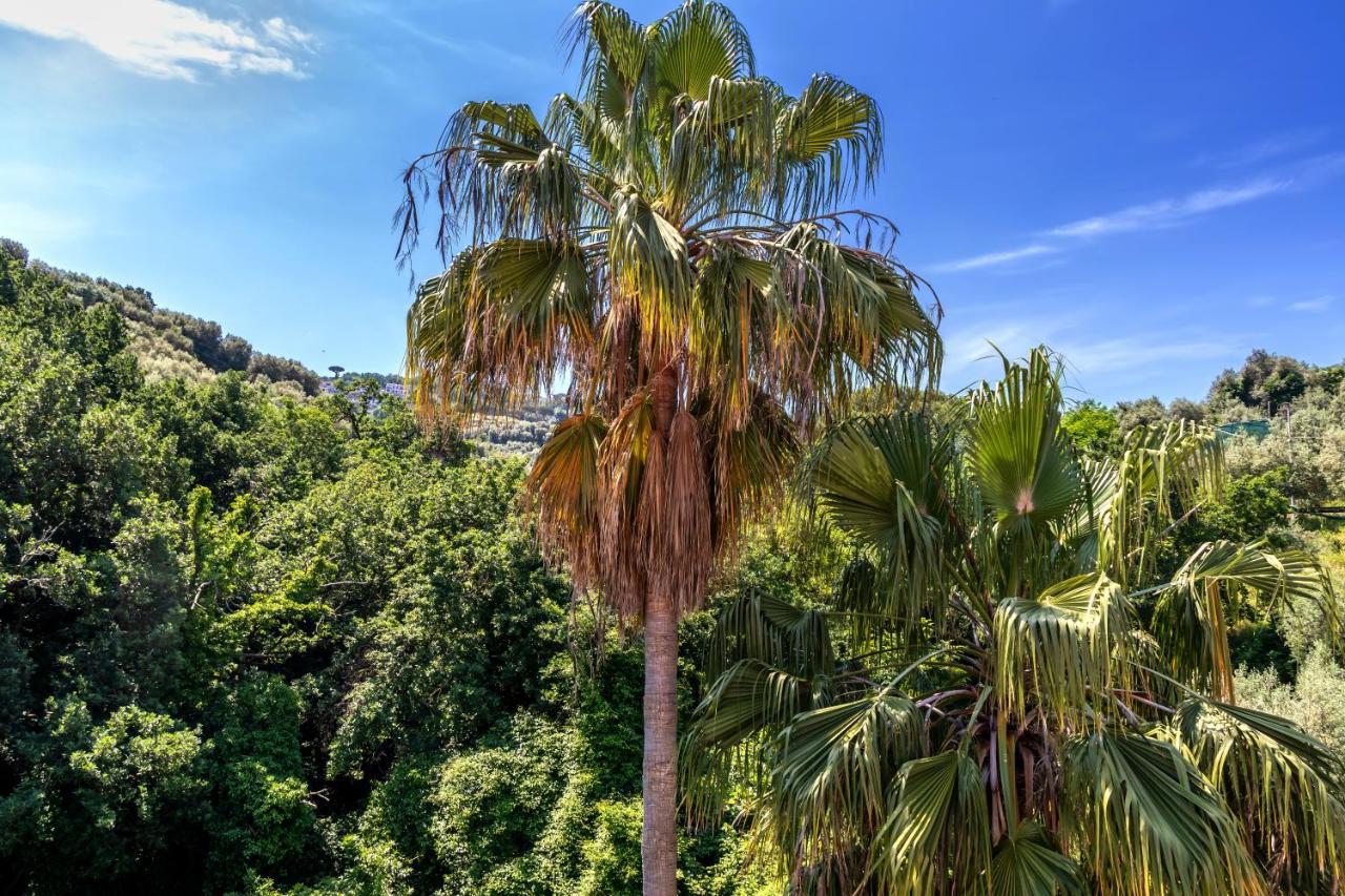 Metropole Sorrento