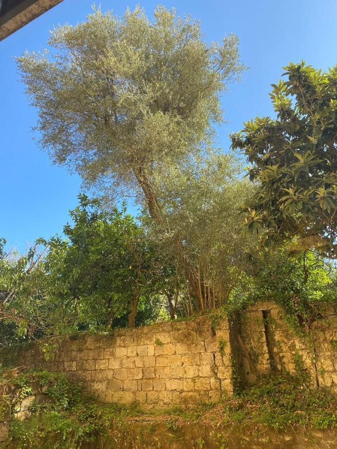 Bed & Breakfast Marama Sorrento