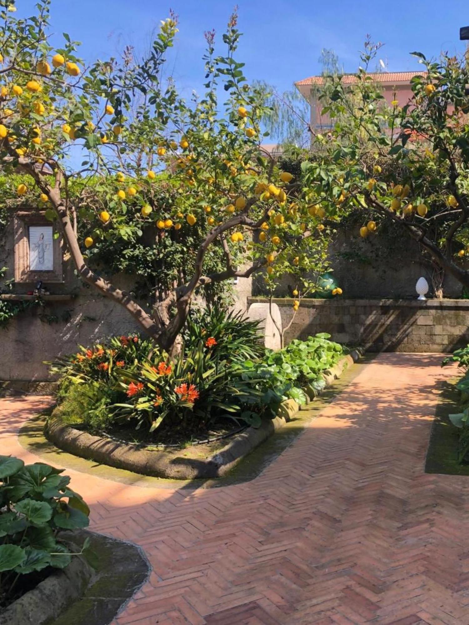 Lidia 3* Sorrento