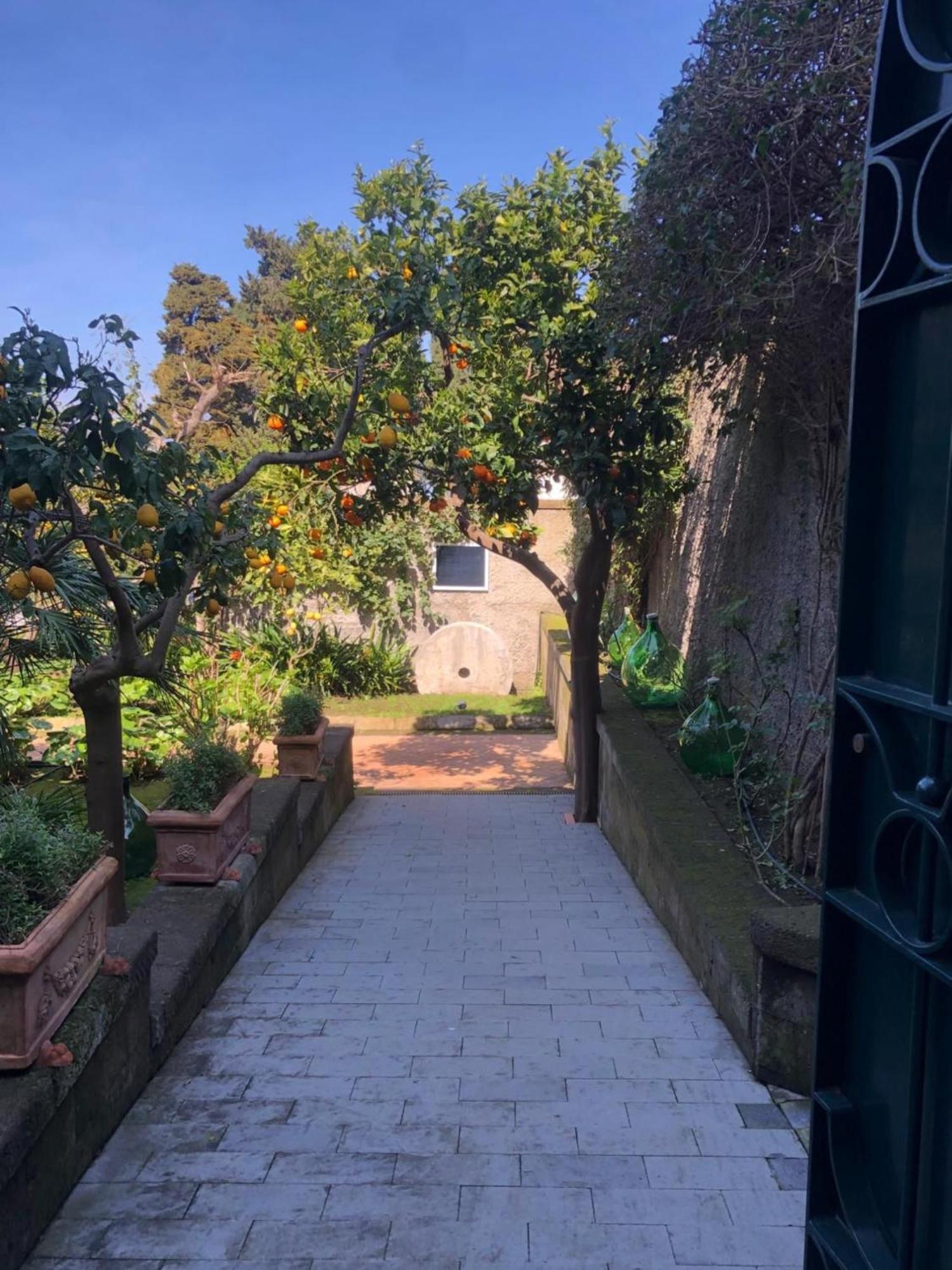 Lidia Acomodação com café da manhã  Sorrento