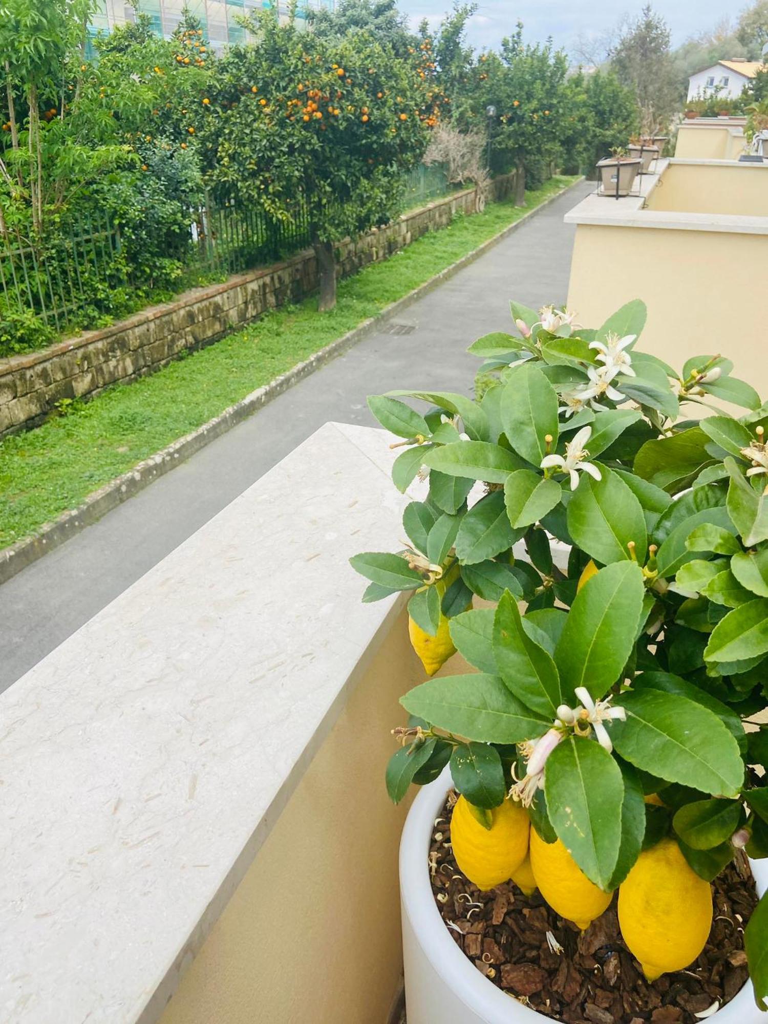 Sakura House Holiday home Sorrento