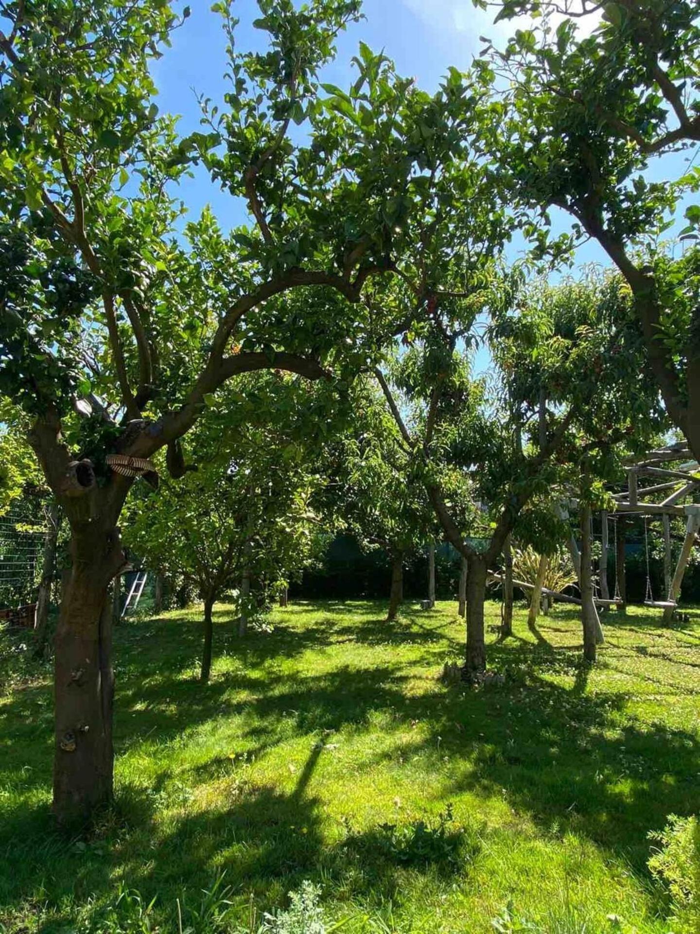 Villa Amore - Casa Limoneto Sorrento