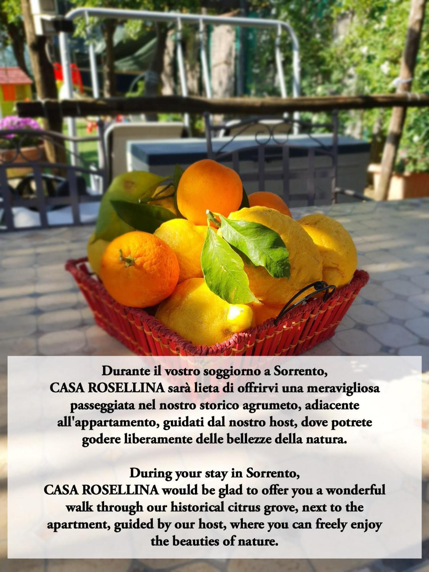 Holiday home Casa Rosellina *