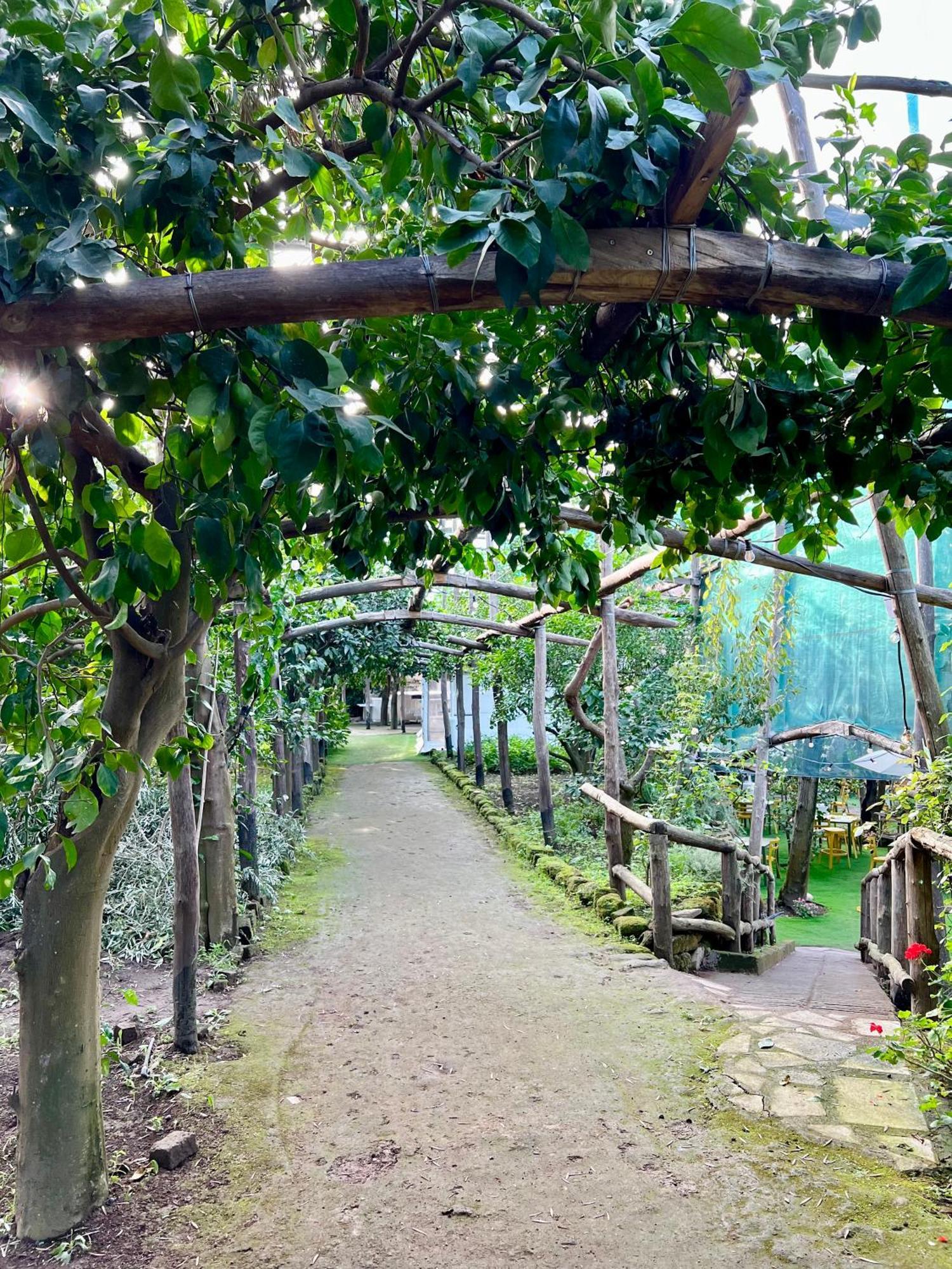 Relais Correale & Garden 3*