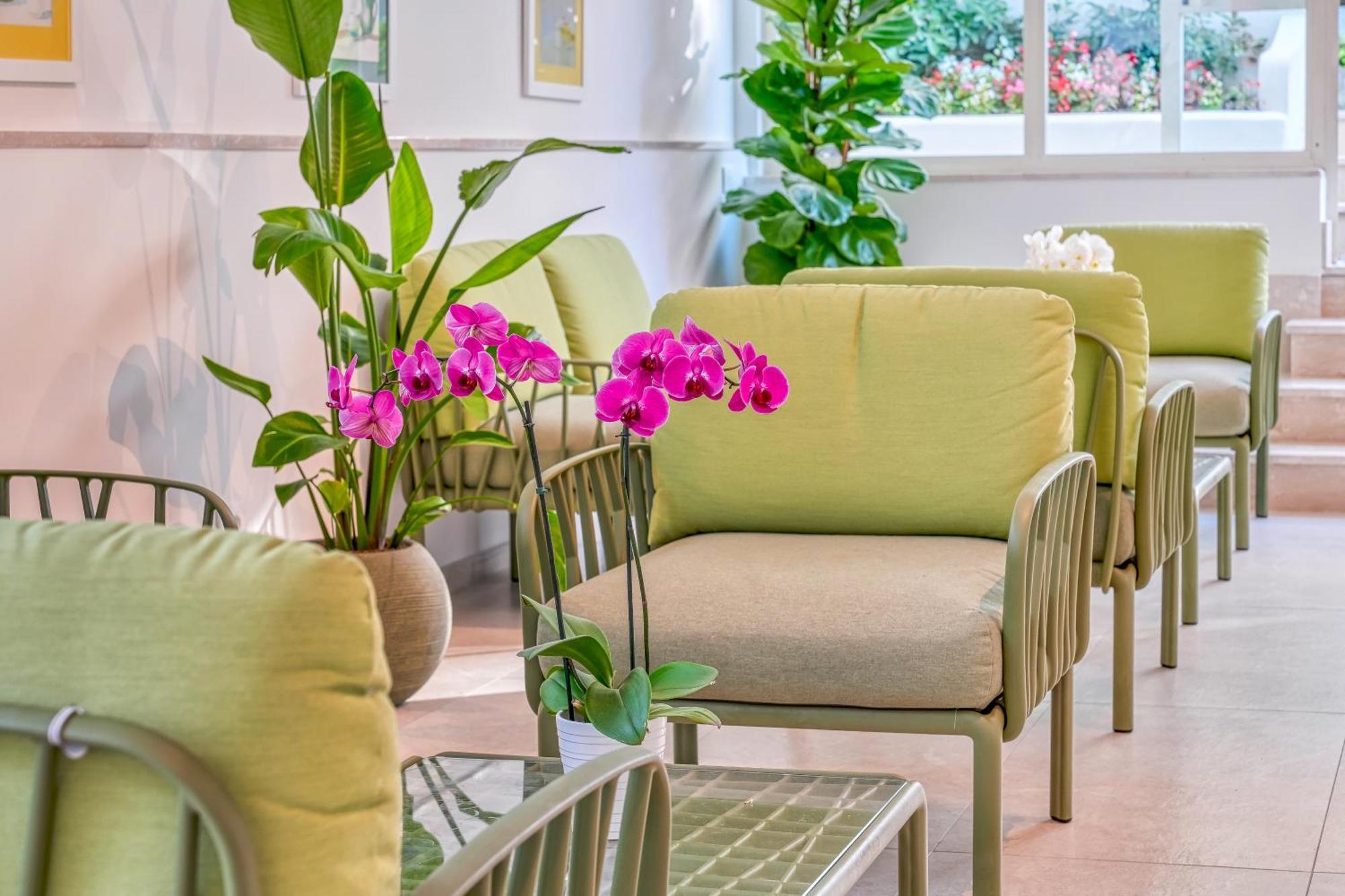 Florida Hotel Sorrento
